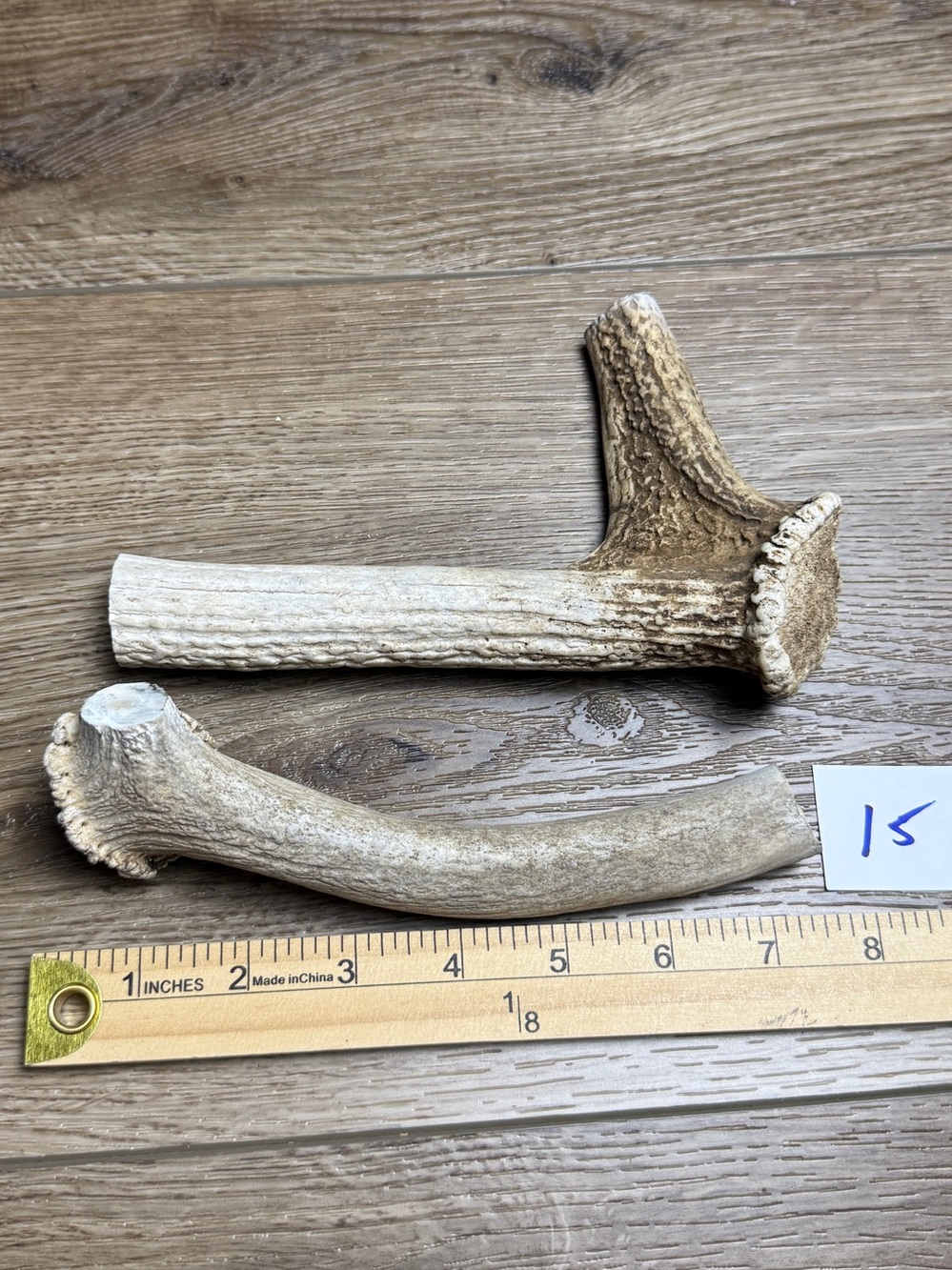 Natural Deer Antler Dog Chews – Mixed Sika, Fallow or Whitetail